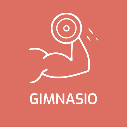 Gimnasio